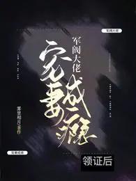 领证后,军阀大佬宠妻成瘾 领证后,军阀大佬宠妻成瘾
